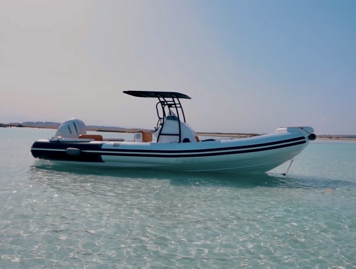 Mako Speedboat Experience